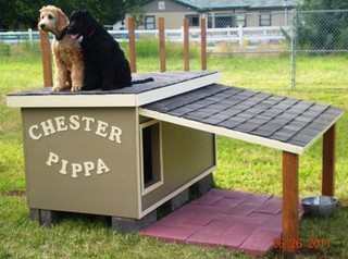 Chester and Pippa - Washington